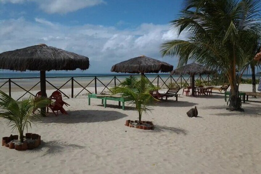 A beach with thatched umbrellas, palm trees, and lounge chairs. 3
