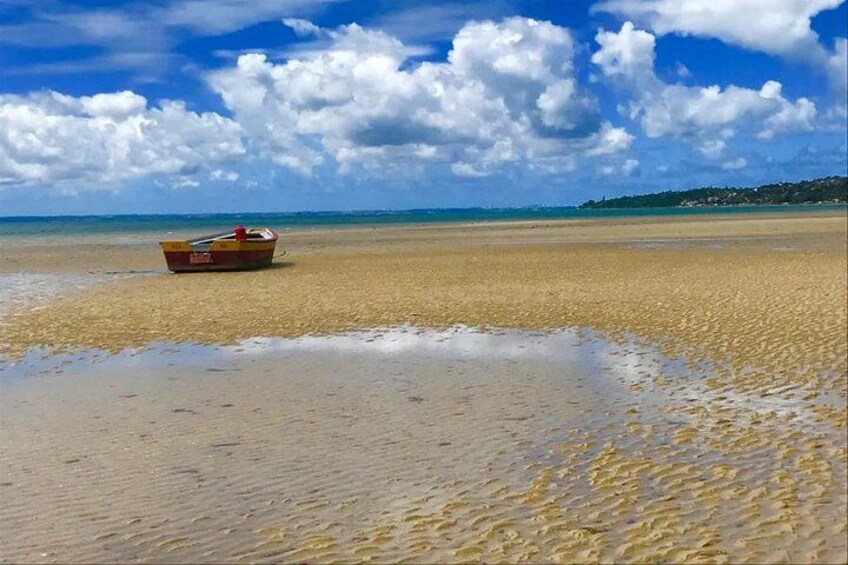 Tour to Frades Island and Itaparica - Departure from Salvador 2