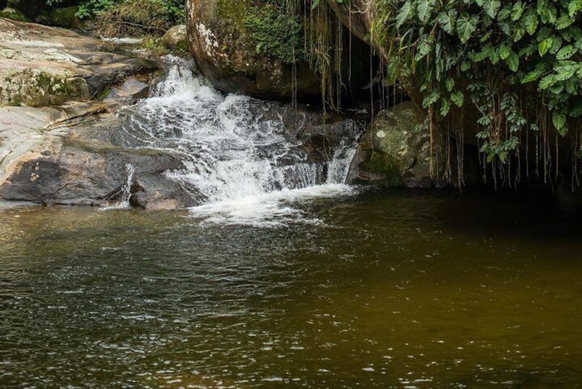 Une petite cascade se déversant sur des rochers dans un bassin d’eau, le tout étant entouré de verdure. 1