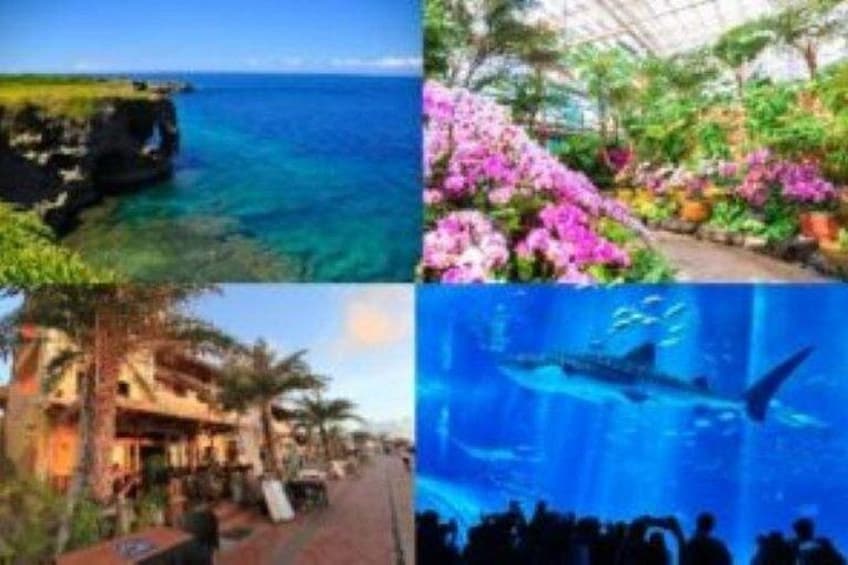 Okinawa HIP-HOP BUS B - 1 Course Tour (Okinawa Churaumi Aquarium) 5