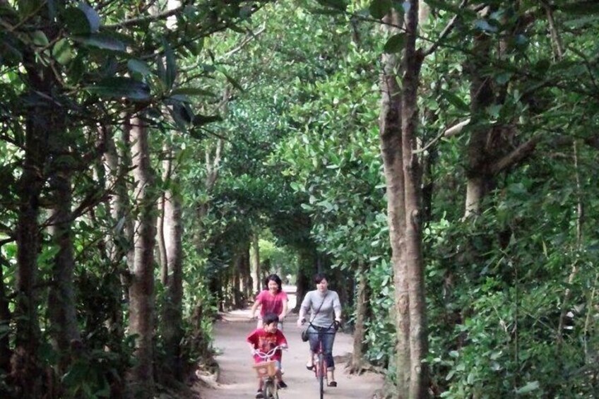 Two people walking on a forest path surrounded by trees. 2