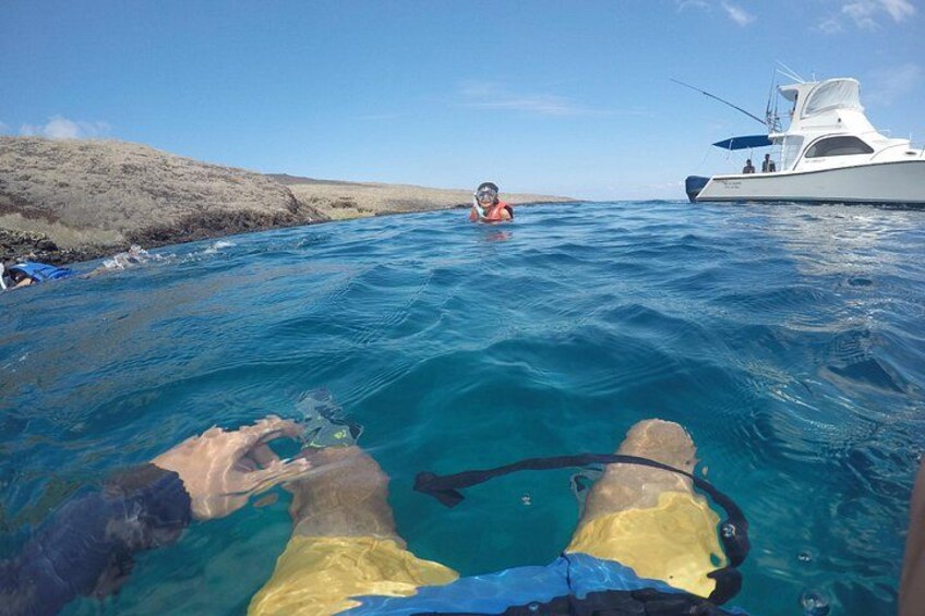Tour to Tuneles & Cabo Rosa (Isabela Island) 1