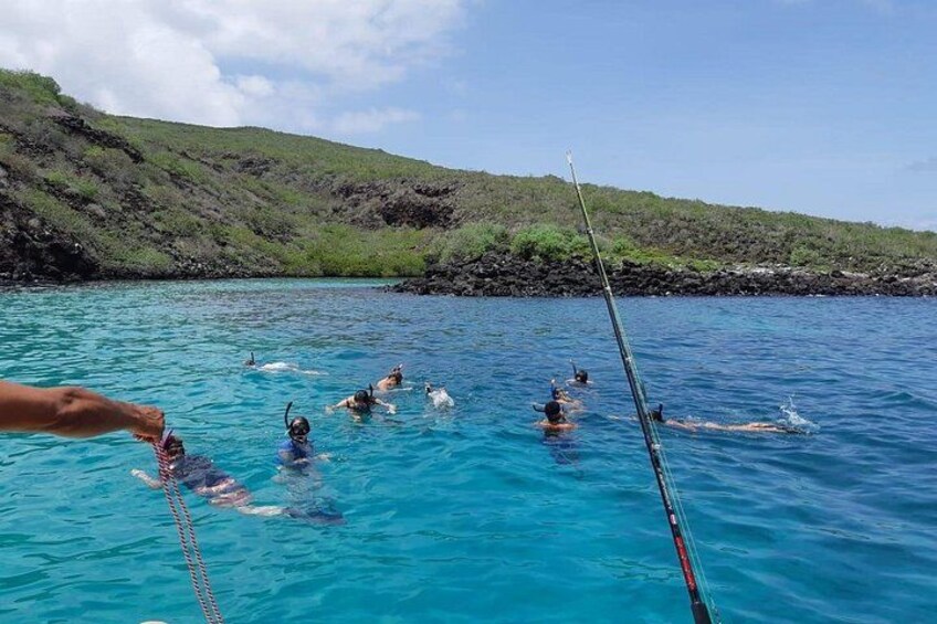 Tour to Tuneles & Cabo Rosa (Isabela Island) 2