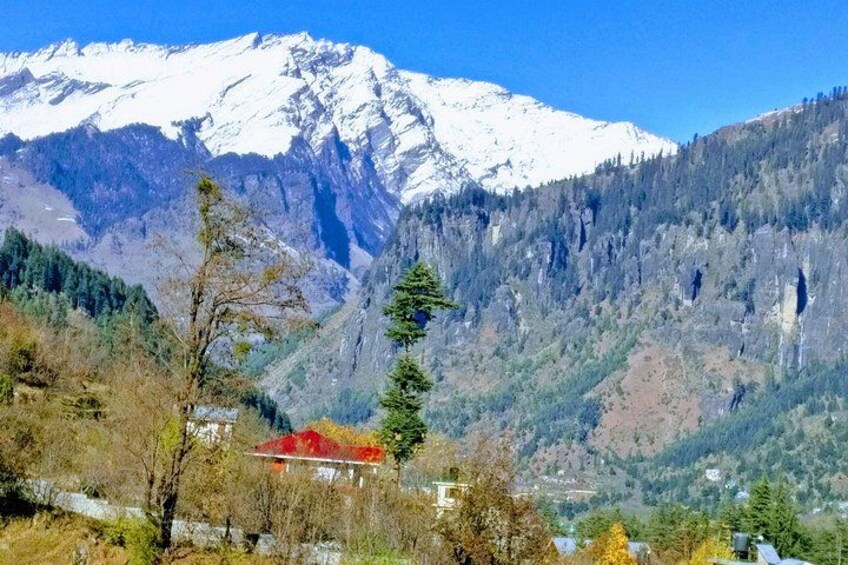 Private One Day Hiking Trip in Manali, Scenic Mountain Trail in Manali 5