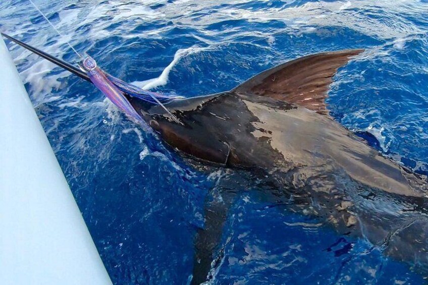 Fishing Trips in Barbados onboard Nauti Dreams Luxury Charters 4