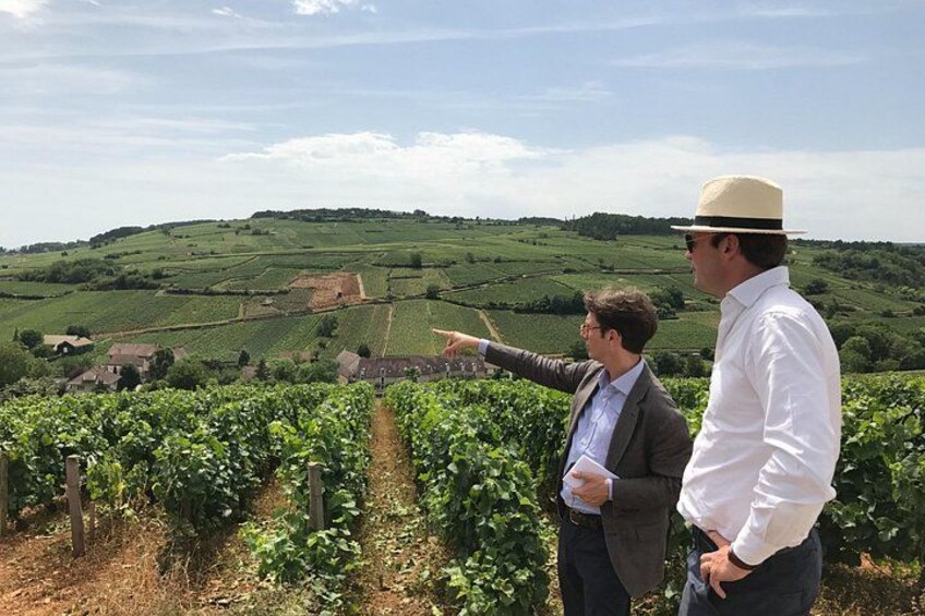 Two men in a vineyard, one pointing at something in the distance. 4