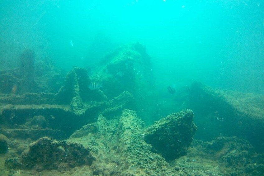 An underwater scene with coral formations and marine life. 2