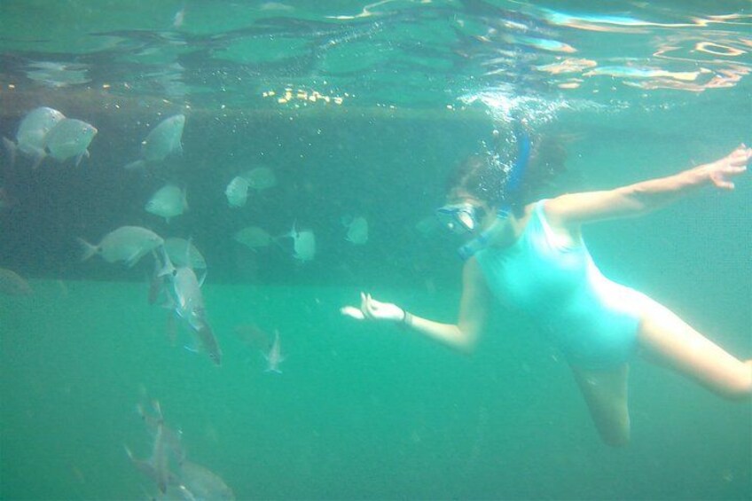 A person swimming underwater with fish around. 3
