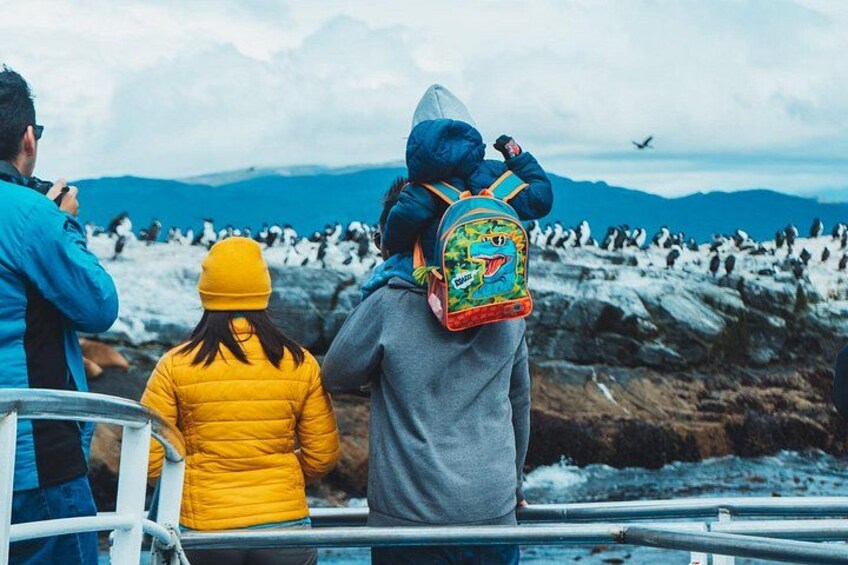 Beagle Channel Navigation Penguin Colony 5