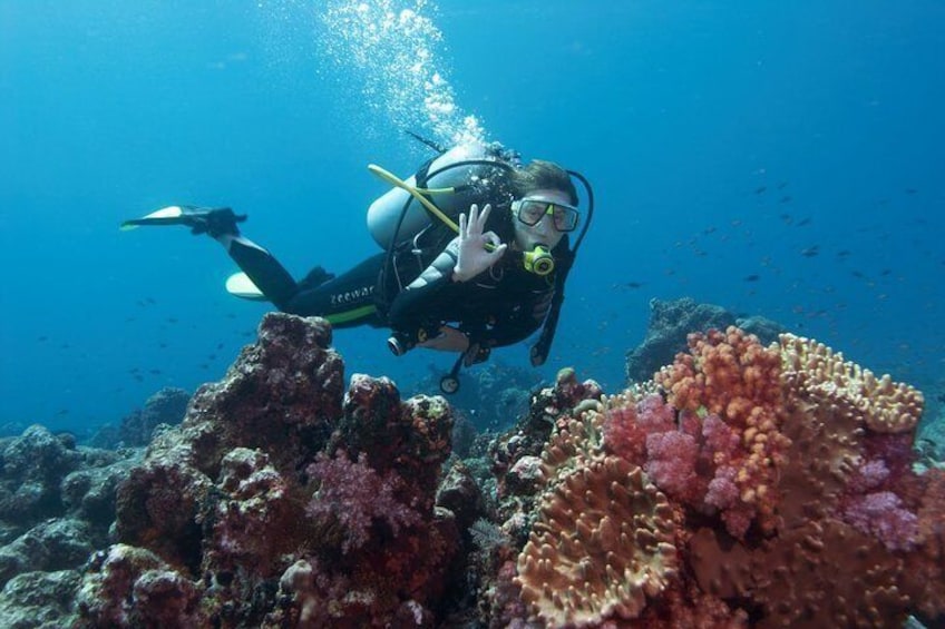 Diving Antalya Kemer