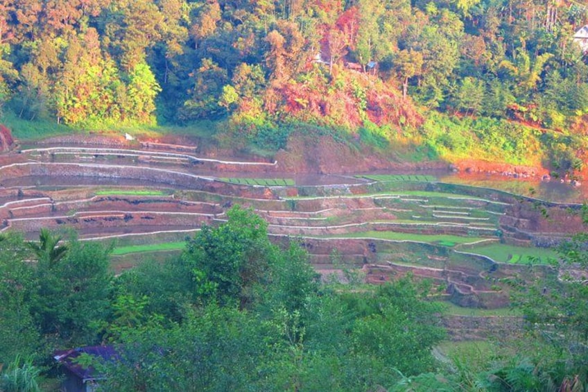 Terraced rice fields, dense forest, and a river. 2