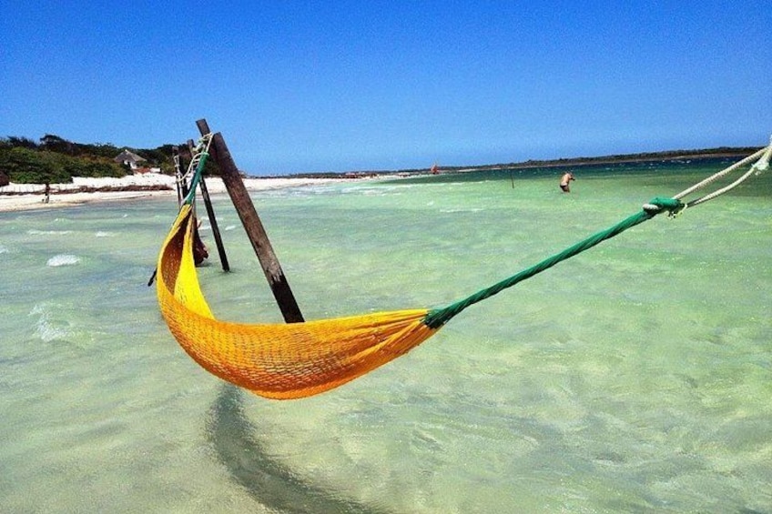Paradise Lagoon 4