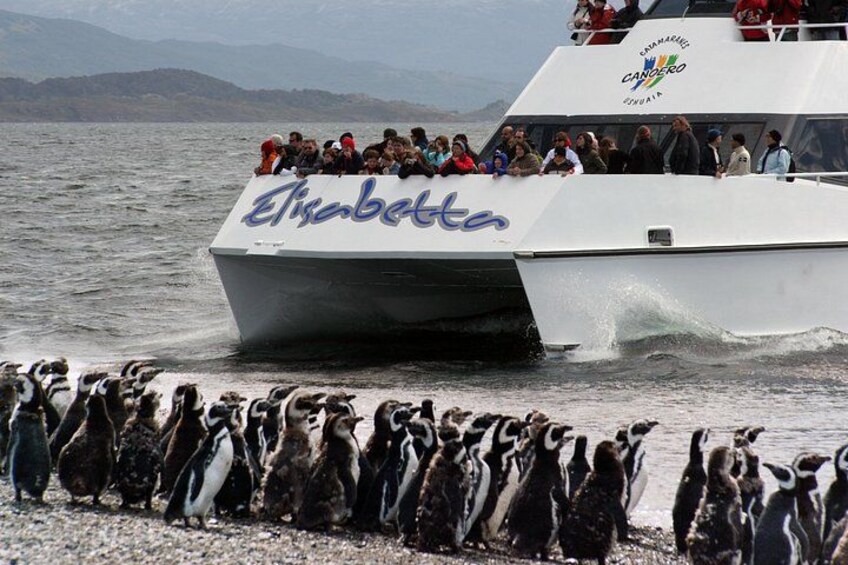A boat named 'Elizabeth' with passengers and penguins on a rocky shore. 1