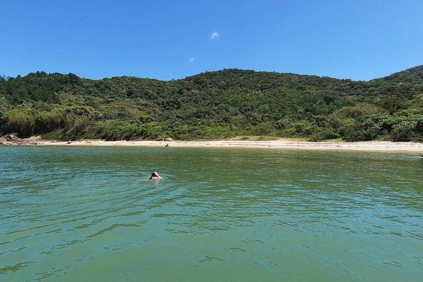 A swimmer in a clear blue sea with a forested hill in the background. 3