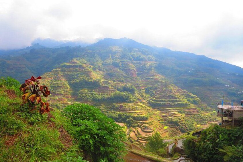 Terraced rice fields, a mountain range, and a small building. 5