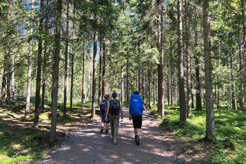 A forested hiking trail with three hikers. 3