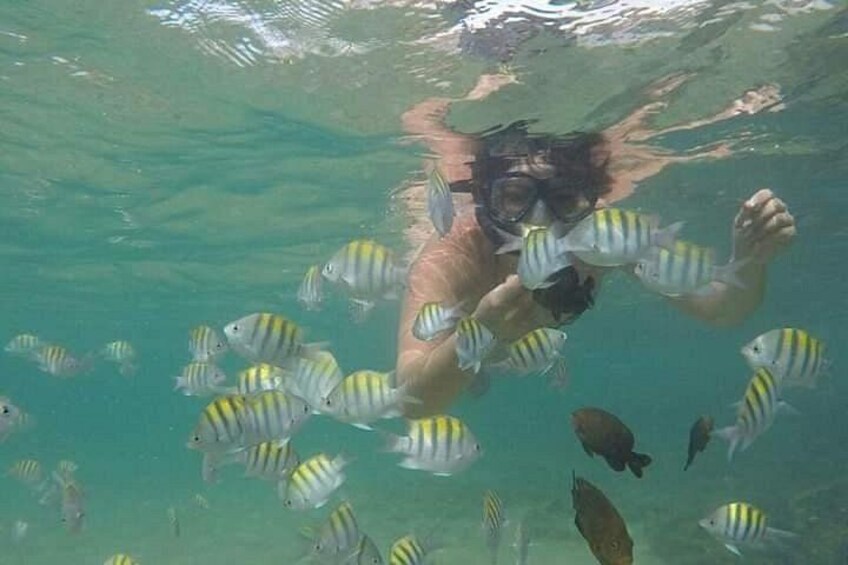 Dip in the Natural pools! 1