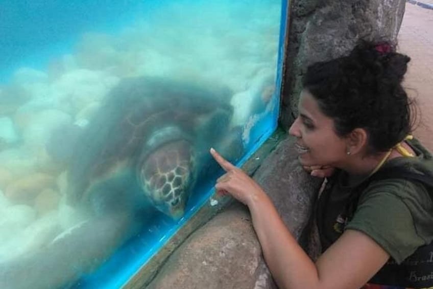 A person pointing at a turtle in an aquarium. 3