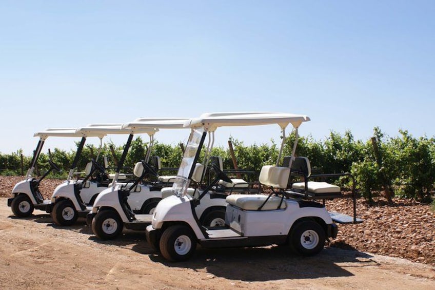 Three golf carts parked in a vineyard. 1