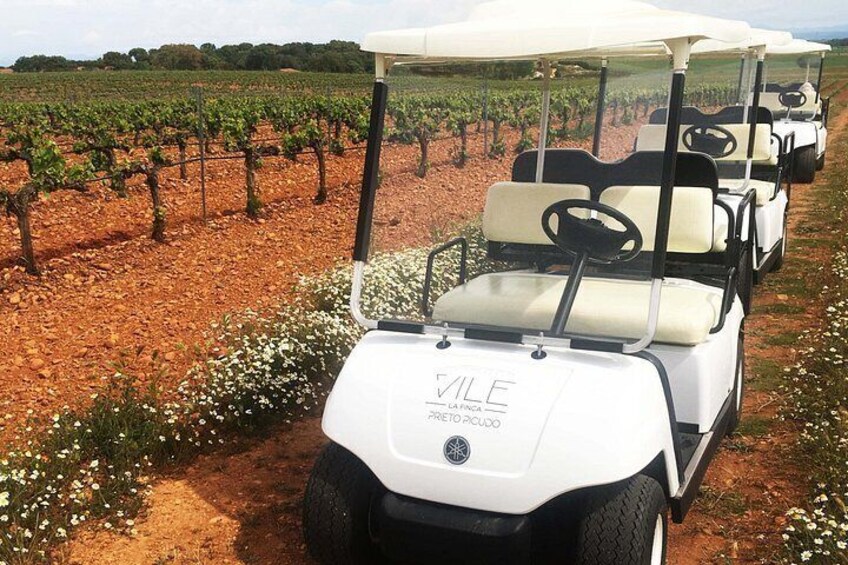 Wine tourism : wine tasting 2