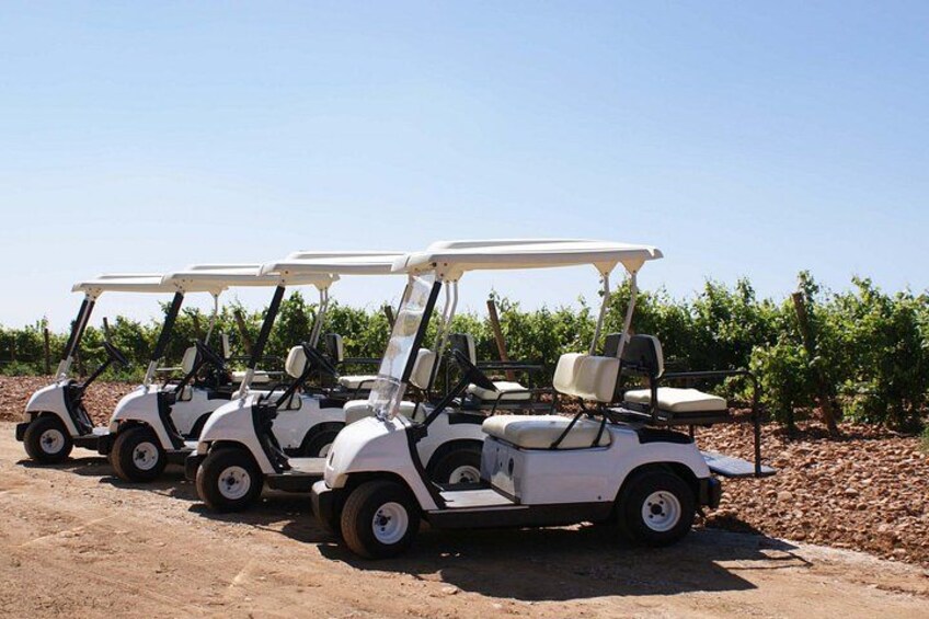 Wine tourism : wine tasting 1