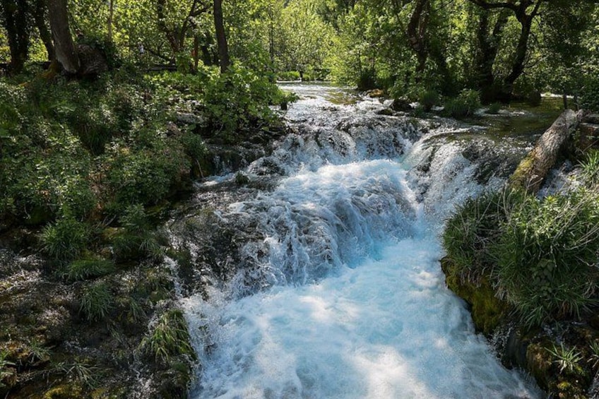 Una cascada en un área boscosa con abundante vegetación y terreno rocoso. 4