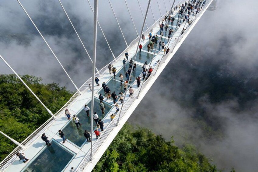 A glass bridge with people walking across it, surrounded by greenery and clouds. 1