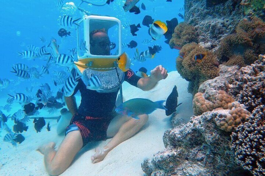 A diver with a diving mask and fins, surrounded by various fish and coral formations underwater. 5