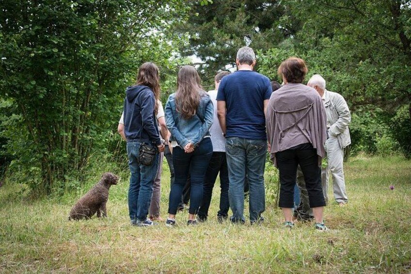 Discovery of the world of Truffles and tasting 1