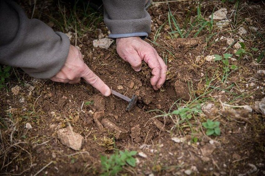 Discovery of the world of Truffles and tasting 5