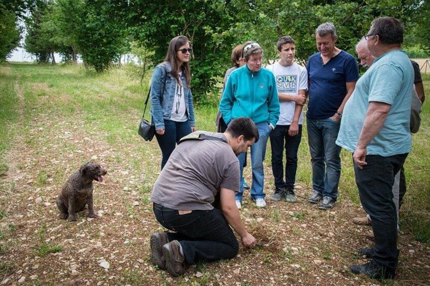 Discovery of the world of Truffles and tasting 3