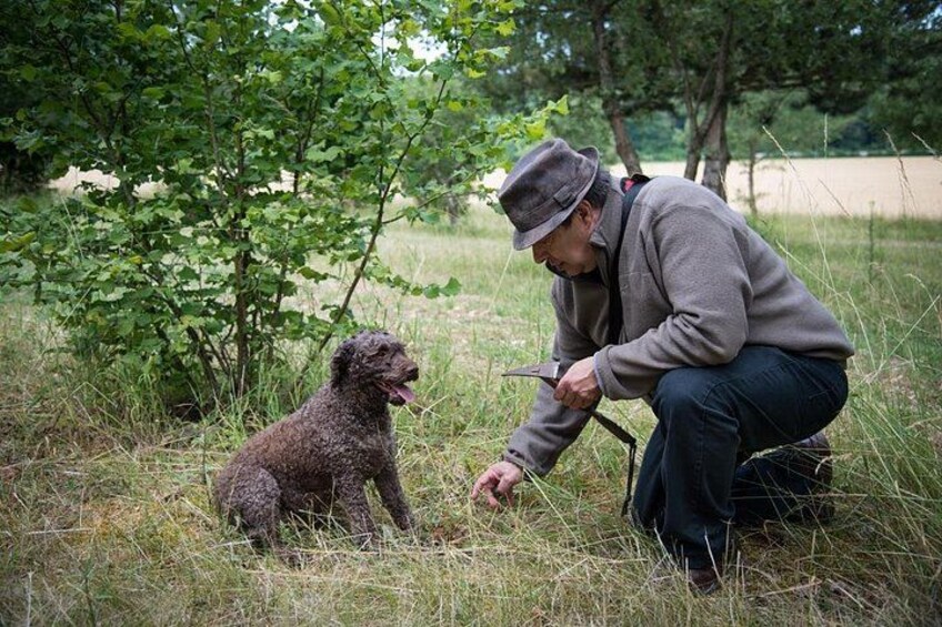 Discovery of the world of Truffles and tasting 2