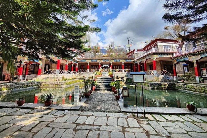 A courtyard with a central staircase, potted plants, and a clear sky. 5
