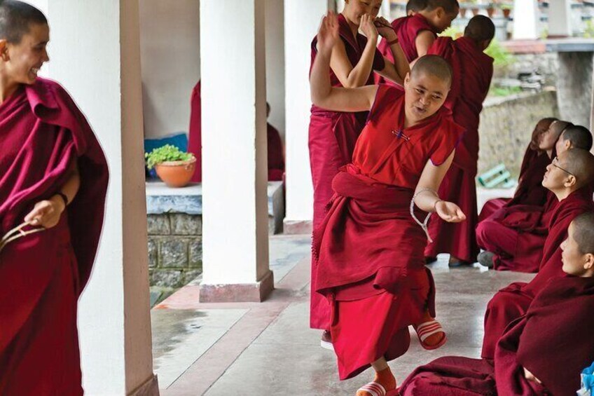 Guided, India's Own Mini Tibet - Culture Tour