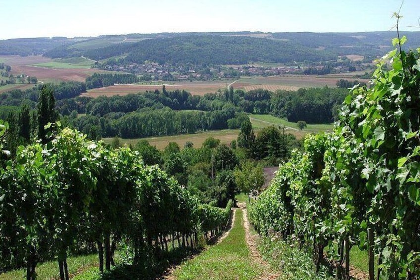 Visit-Tasting-Sale 2