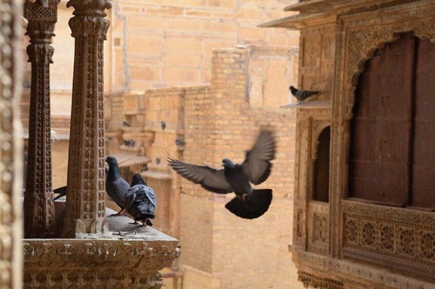 Pigeons on a stone ledge with intricate carvings, flying in an ancient building with detailed architecture. 4