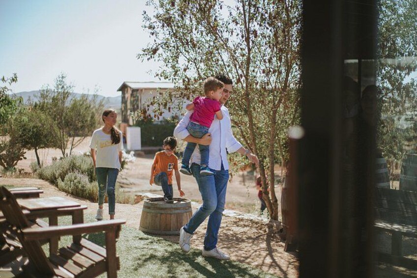 Xecue Wine Tasting in the Guadalupe Valley 4