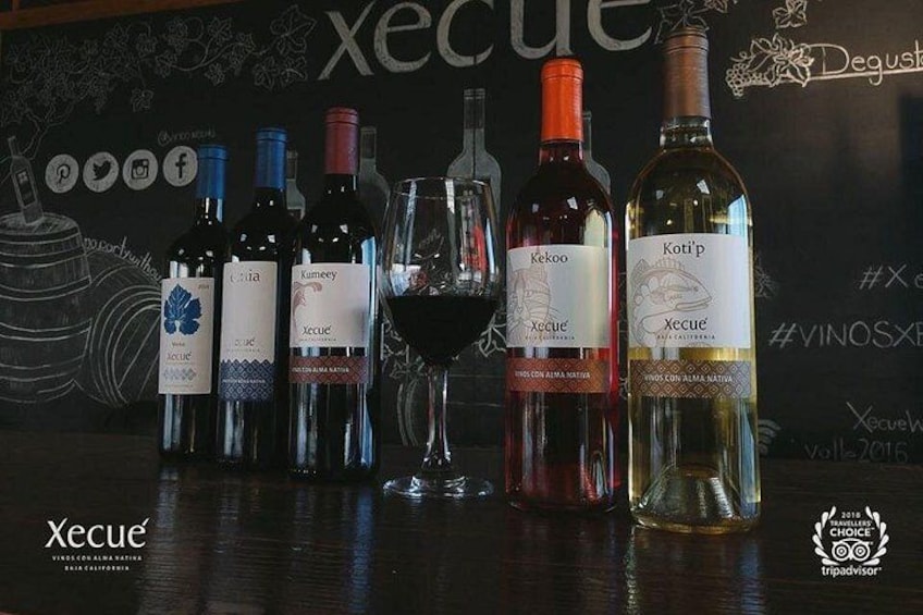 Xecue Wine Tasting in the Guadalupe Valley 2