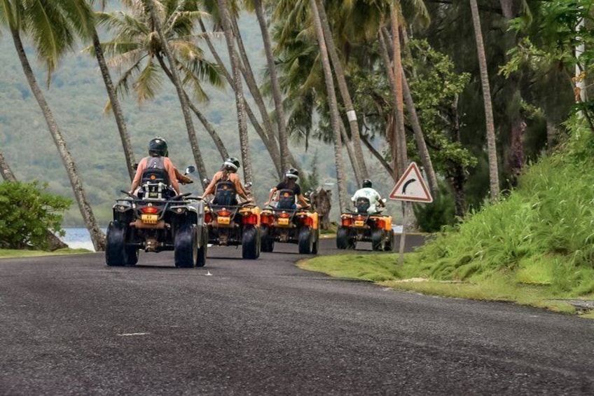 Un grupo de personas manejando cuatrimotos por un camino con palmeras y una montaña al fondo. 1