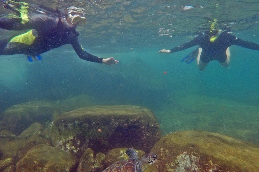 Two divers underwater with rocks and coral formations. 3