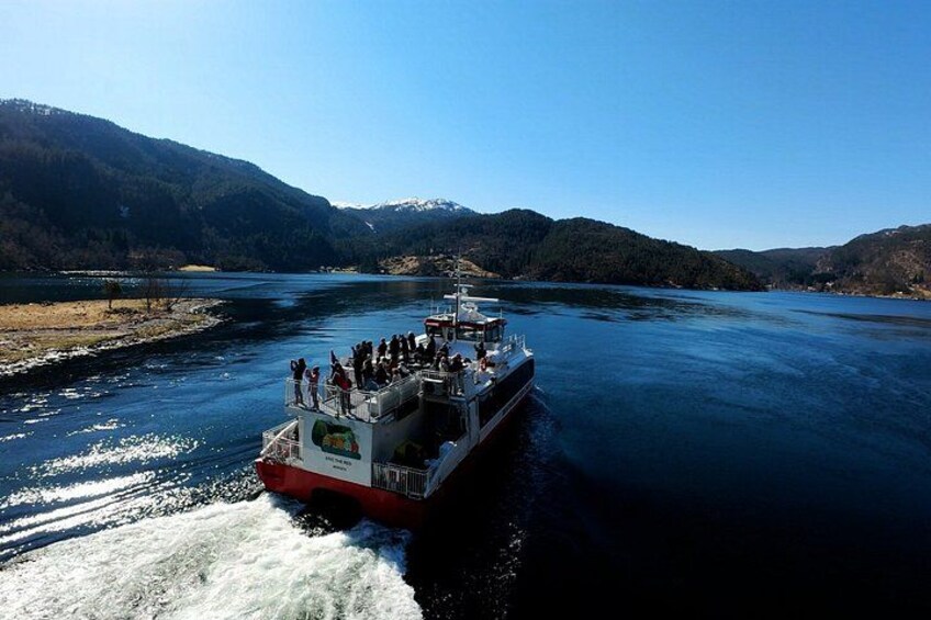 Mostraumen Fjord Cruise – the local operator 4