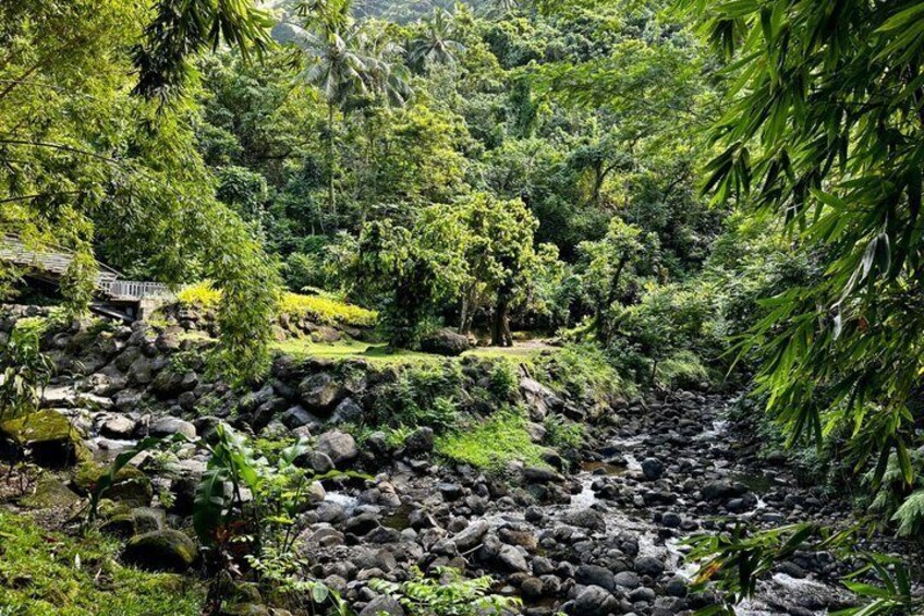 TAHITI NUI, ISLAND TOUR, EAST AND WEST COAST (4 TO 5 HOURS) 4