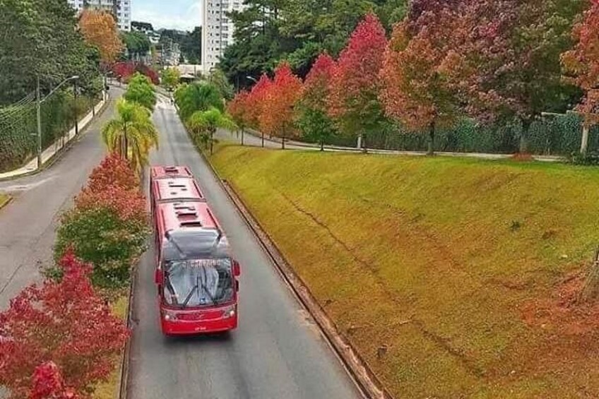 Un autobús rojo circulando por una carretera bordeada de árboles con follaje otoñal. 5