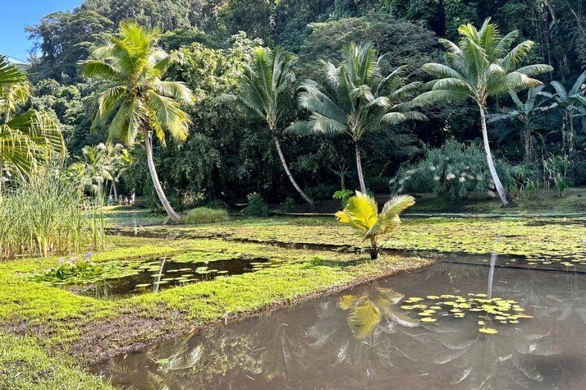 Tahiti: Full Day Tour of the Island 3