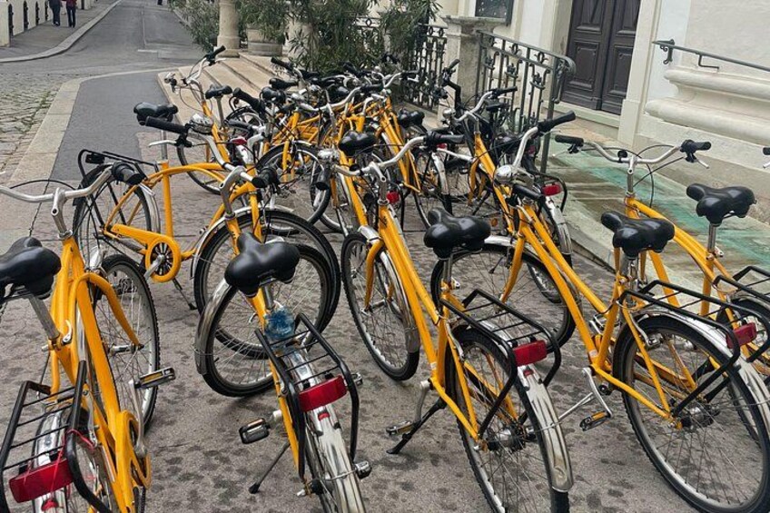 Bicycle tour - Vienna Complete 3
