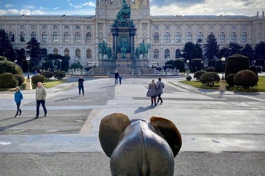Bicycle tour - Vienna Complete 2