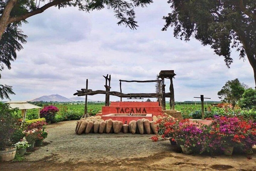 Hacienda Tacama - Ica (Perú) 3