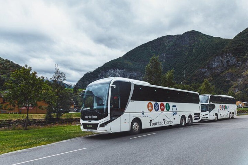 Guided tour - Viking Village, Nærøyfjord Cruise and Flåm Railway 4