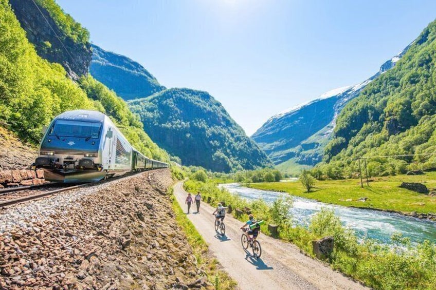 Guided tour - Viking Village, Nærøyfjord Cruise and Flåm Railway 5