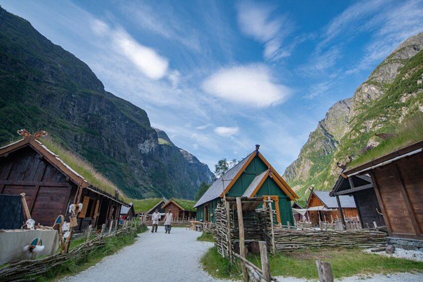Guided Tour Viking Village Naeroyfjord Cruise and Flam Railway 2